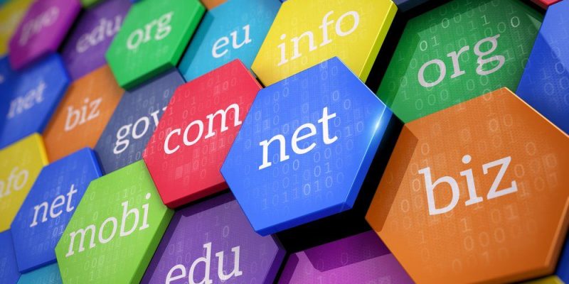 Domain Name untuk Organisasi: Pengertian dan Tips Menentukannya
