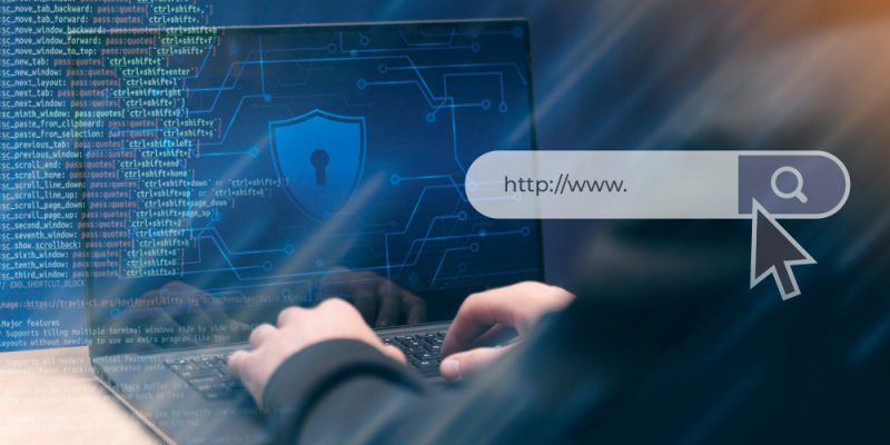 Domain Privacy Protection: Manfaat Penting dan Penggunaannya